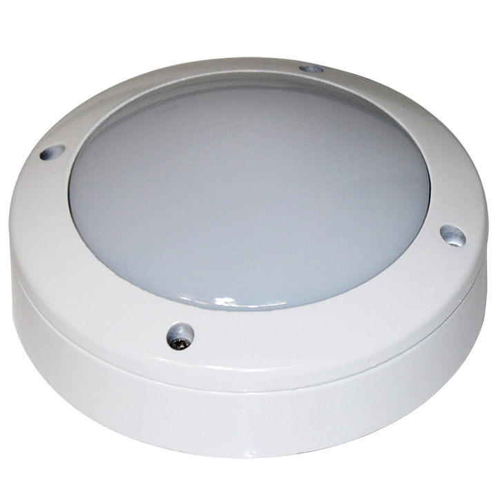 10W LED Bulkhead Light 10W LED Bulkhead Light