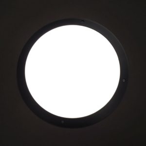275mm 15W Bulkhead Light