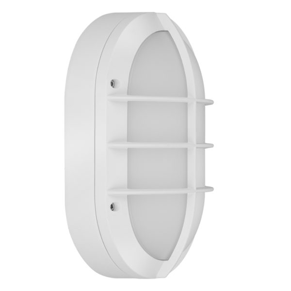 Oval Bulkhead Light