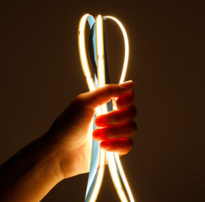 Dual Color COB LED Strip Light