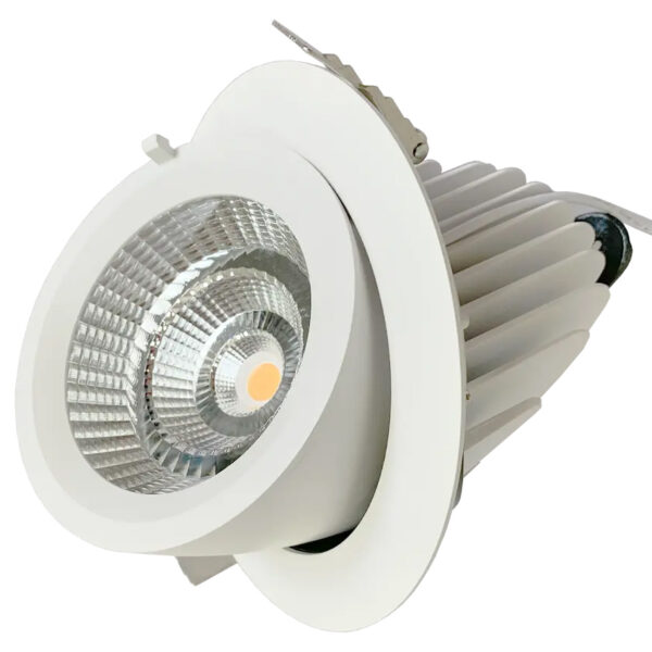 Gimbal LED Downlight