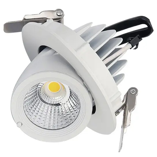 Gimbal LED Downlight
