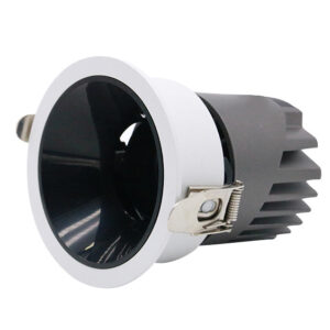 DMX512 RGB RGBW LED Downlights Addressable and Programable