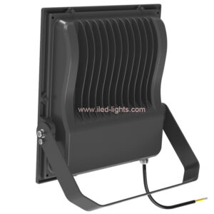 100W LED Flood Light IP66 Meanwell Driver