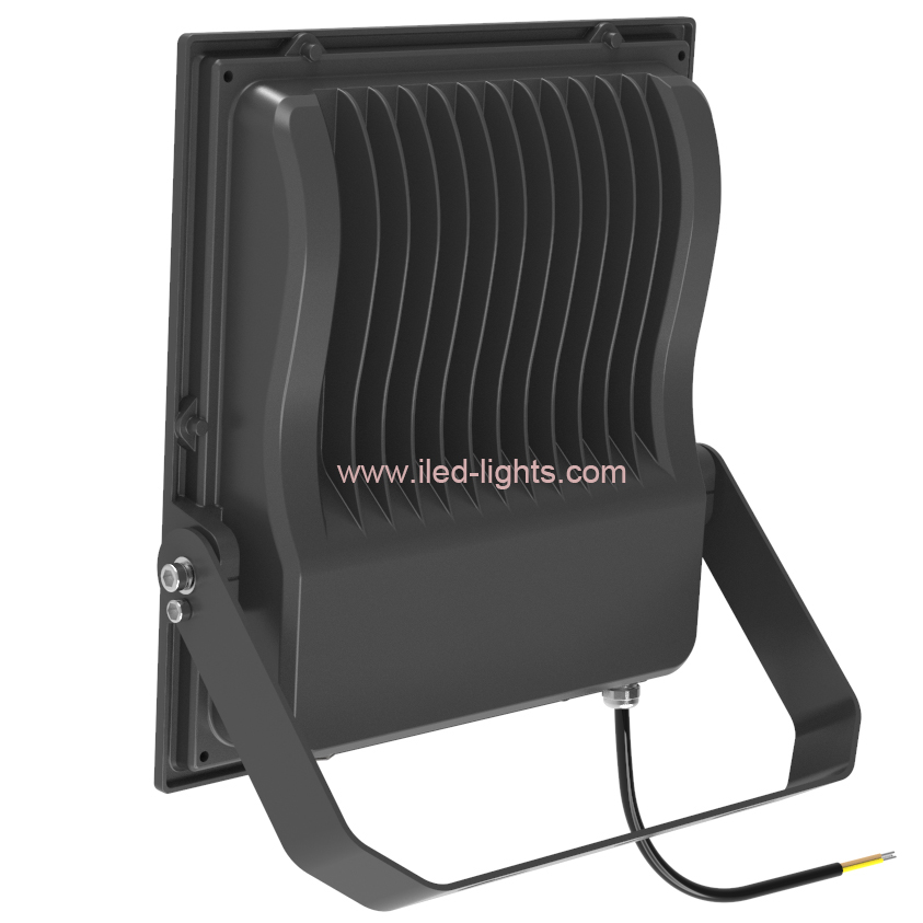 F1 100W 100W LED Flood Light IP66 Meanwell Driver 100W LED Flood Light IP66 Meanwell Driver