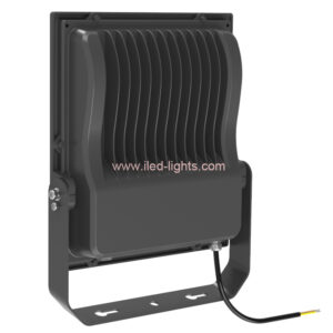 100W LED Flood Light IP66 Meanwell Driver