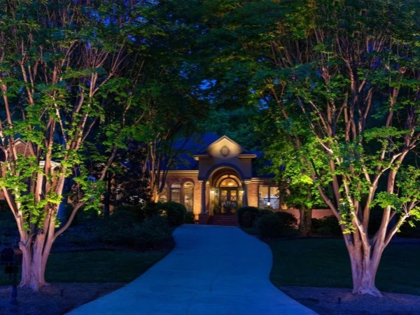 Lighting Solution for Festival